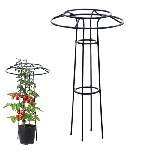 Yjkedfh Metall Rankgitter Für Garten - Stützgerüst Für Kletterpflanzen Und Blumen - Multifunktionale Schirm-Rankhilfe aus Stahl für Balkon, Gewächshaus, Terrasse und Garten Yjkedfh Metall Rankgitter Für Garten - Stützgerüst Für Kletterpflanzen Und Blumen - Multifunktionale Schirm-Rankhilfe aus Stahl für Balkon, Gewächshaus, Terrasse und Garten von Yjkedfh