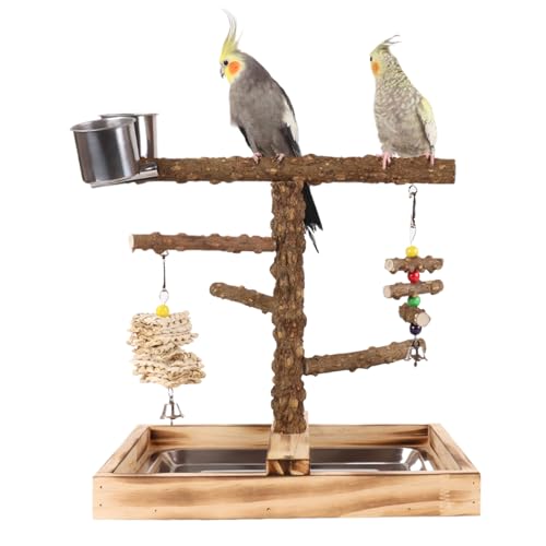 Yjkedfh Spielplatz,Vogelspielplatz Mit Futterbechern Für en - Spielzeug und Sitzstangen Zubehör für Training, Fütterung und Spiel von Kanarienvögeln, Wellensittichen, Unzertrennlichen und Yjkedfh Spielplatz,Vogelspielplatz Mit Futterbechern Für en - Spielzeug und Sitzstangen Zubehör für Training, Fütterung und Spiel von Kanarienvögeln, Wellensittichen, Unzertrennlichen und von Yjkedfh