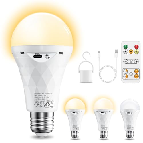 E27 LED Glühbirne mit Batterie Fernbedienung, Dimmbar LED Akku Lampen (3000K/4000K/6500K), 2600mAh Outdoor Lampe, Timer Leuchtmittel Sockel&USB Rechargeable Dual-Purpose Für Tischlampe/Camping von Ylatoial