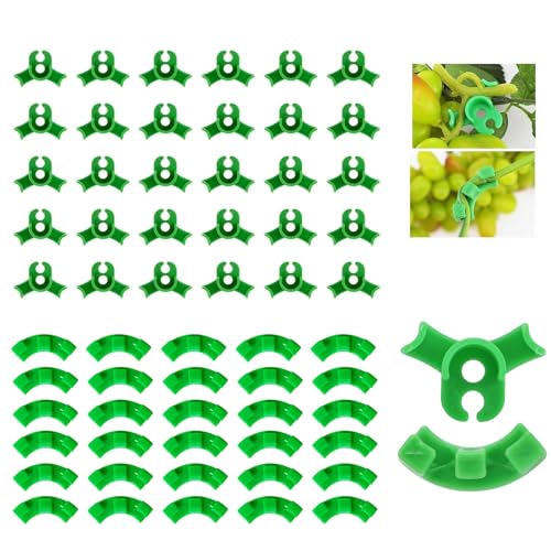 Ylinwtech 60 Stück Pflanzenbieger,Pflanzentraining Clips,Pflanzenwachstum Bieger Clips,90 Grad Pflanze Biegen Clip,Zum Biegen Von Pflanzenstämmen Und Ändern Der Wuchsrichtung(Grün) von Ylinwtech