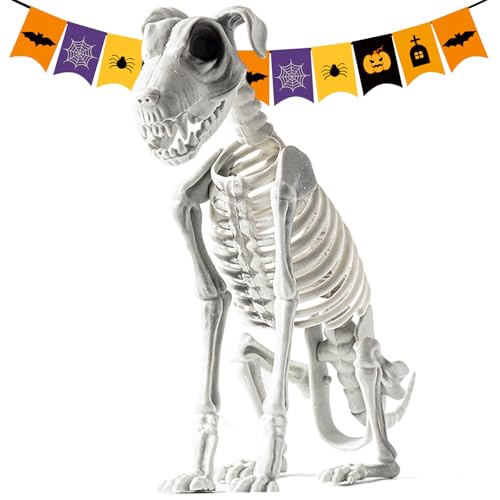 Halloween Skelett Sitzender Hund | 31x40cm Skelett-Hund Sitzend | Sitzendes Hunde Skelett Deko Mit Realistischen Zähnen | Halloween Welpe Knochen Skeletts Dekoration Für Spukhaus, Garten Und Party von Ylnailky