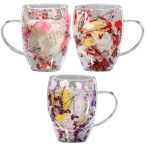 Ylnailky 350ml 3Stück Doppelwandige Kaffeebecher Aus Glas Mit Trockenblumen - Isolierter Hitzebeständiger Glasbecher | Teetassen von Ylnailky