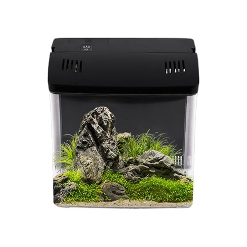 Ylnailky Kleines Aquarium Mit Filter | Kleine Betta Aquarien | Zubehör Für Quallen Frösche Schildkröten Riff | Für Büro Tisch Zuhause Zimmer Ylnailky Kleines Aquarium Mit Filter | Kleine Betta Aquarien | Zubehör Für Quallen Frösche Schildkröten Riff | Für Büro Tisch Zuhause Zimmer von Ylnailky