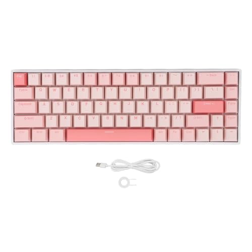 Ylwxzenith 60% 68 Taste mechanischer Gaming -Tastatur, USB -C -Kabel, RGB -Rückbeleuchtung, Blauer Schalter, Anti -Ghosting, heißer Swapping für Computer mit USB -Anschluss von Ylwxzenith