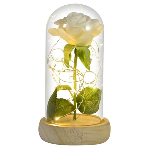 Ewige Rose Im Glas, Ewige Rose Im Glas Mit Gravur Geschenke for sie, ewige Rose in Glaskuppel, künstliche Blume for Immer, Licht, Muttertagsgeschenke for Frauen(White Flower) von Ymnilian