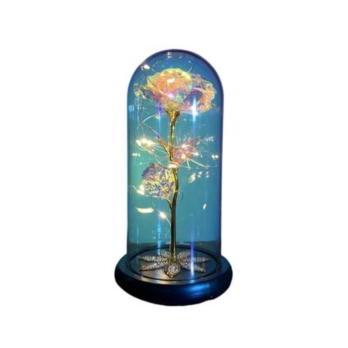 Ymnilian Ewige Rose Im Glas, Ewige Rose Im Glas Mit Gravur Blume Ewige Rose Im Glas Weihnachten Künstliche Blumen for Dekor Hochzeitsgeschenke for Zuhause(038) von Ymnilian