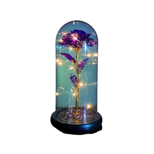Ymnilian Ewige Rose Im Glas, Ewige Rose Im Glas Mit Gravur Blume Ewige Rose Im Glas Weihnachten Künstliche Blumen for Dekor Hochzeitsgeschenke for Zuhause(039) von Ymnilian