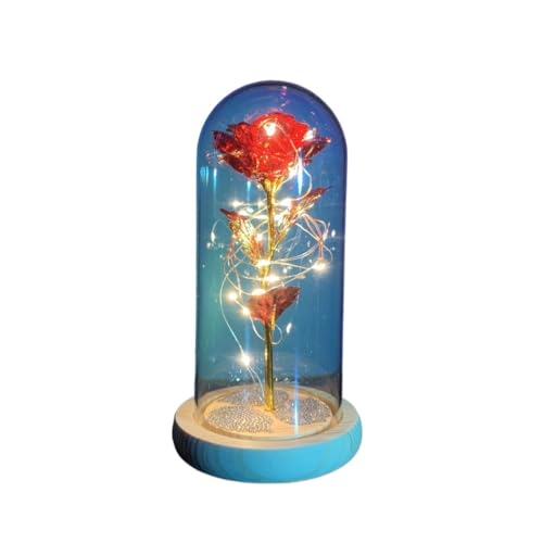 Ymnilian Ewige Rose Im Glas, Ewige Rose Im Glas Mit Gravur Blume Ewige Rose Im Glas Weihnachten Künstliche Blumen for Dekor Hochzeitsgeschenke for Zuhause(043) von Ymnilian
