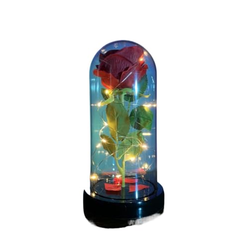 Ymnilian Ewige Rose Im Glas, Ewige Rose Im Glas Mit Gravur Blume Ewige Rose Im Glas Weihnachten Künstliche Blumen for Dekor Hochzeitsgeschenke for Zuhause(050) von Ymnilian