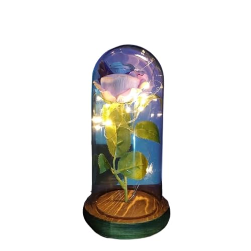 Ymnilian Ewige Rose Im Glas, Ewige Rose Im Glas Mit Gravur Blume Ewige Rose In Weihnachten Künstliche Blumen for Dekor Hochzeitsgeschenke Muttertag(004) von Ymnilian