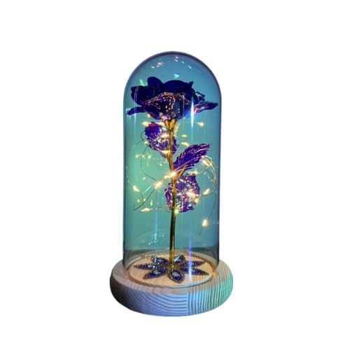 Ymnilian Ewige Rose Im Glas, Ewige Rose Im Glas Mit Gravur Blume Ewige Rose In Weihnachten Künstliche Blumen for Dekor Hochzeitsgeschenke Muttertag(033) von Ymnilian