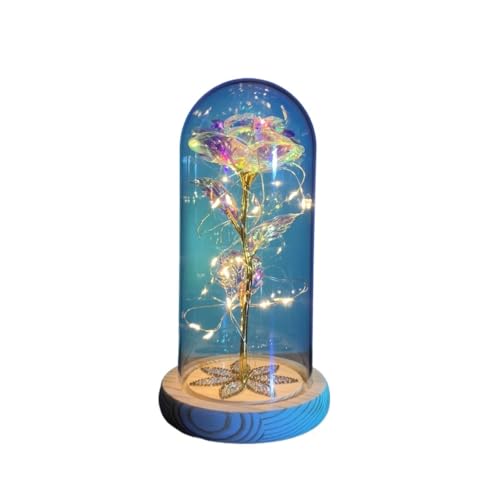 Ymnilian Ewige Rose Im Glas, Ewige Rose Im Glas Mit Gravur Blume Ewige Rose In Weihnachten Künstliche Blumen for Dekor Hochzeitsgeschenke Muttertag(036) von Ymnilian