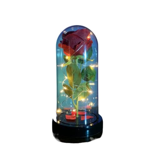 Ymnilian Ewige Rose Im Glas, Ewige Rose Im Glas Mit Gravur Blume Ewige Rose In Weihnachten Künstliche Blumen for Dekor Hochzeitsgeschenke Muttertag(050) von Ymnilian
