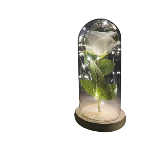 Ymnilian Ewige Rose Im Glas, Ewige Rose Im Glas Mit Gravur Ewige Blume Rose in Flasche Hochzeit Dekor künstliche in Abdeckung Home Decor(018) von Ymnilian