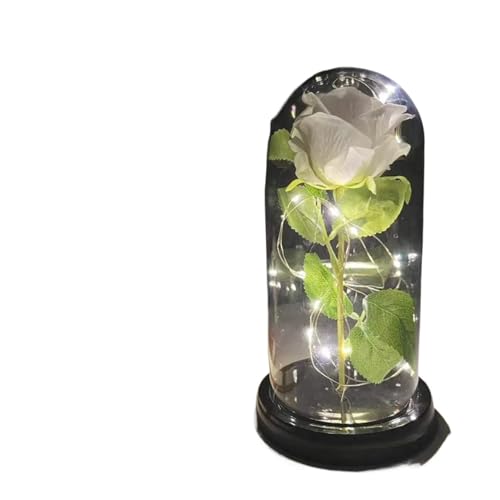Ymnilian Ewige Rose Im Glas, Ewige Rose Im Glas Mit Gravur Ewige Blume Rose in Flasche Hochzeit Dekor künstliche in Abdeckung Home Decor(030) von Ymnilian