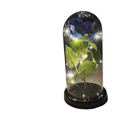 Ymnilian Ewige Rose Im Glas, Ewige Rose Im Glas Mit Gravur Ewige Blume Rose in Flasche Hochzeit Dekor künstliche in Abdeckung Home Decor(032) von Ymnilian