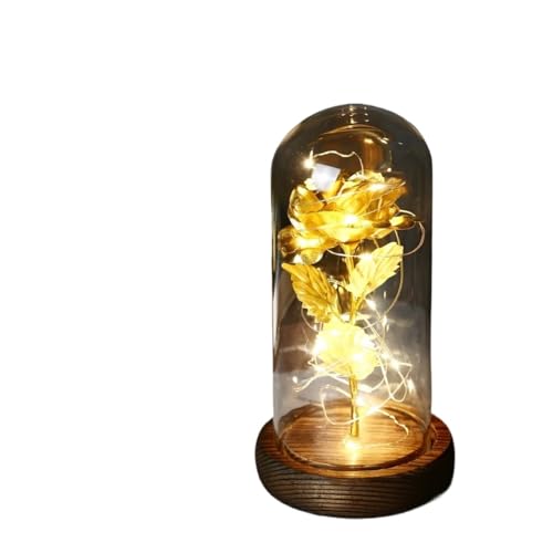 Ymnilian Ewige Rose Im Glas, Ewige Rose Im Glas Mit Gravur Geschenk for Valentinstag, verzauberte Rose, ewige Blume aus 24-karätiger Goldfolie mit Lichterkette in Kuppel for Jäten(005) von Ymnilian