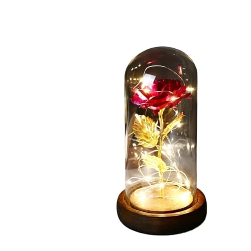 Ymnilian Ewige Rose Im Glas, Ewige Rose Im Glas Mit Gravur Geschenk for Valentinstag, verzauberte Rose, ewige Blume aus 24-karätiger Goldfolie mit Lichterkette in Kuppel for Jäten(006) von Ymnilian