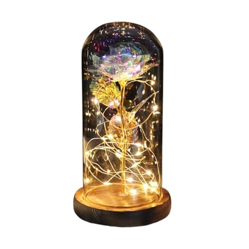 Ymnilian Ewige Rose Im Glas, Ewige Rose Im Glas Mit Gravur Geschenk for Valentinstag, verzauberte Rose, ewige Blume aus 24-karätiger Goldfolie mit Lichterkette in Kuppel for Jäten(007) von Ymnilian