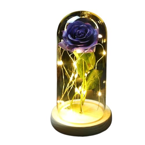 Ymnilian Ewige Rose Im Glas, Ewige Rose Im Glas Mit Gravur Geschenk for Valentinstag, verzauberte Rose, ewige Blume aus 24-karätiger Goldfolie mit Lichterkette in Kuppel for Jäten(019) von Ymnilian