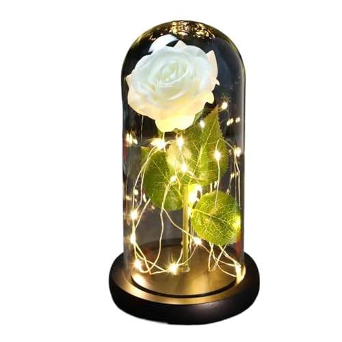 Ymnilian Ewige Rose Im Glas, Ewige Rose Im Glas Mit Gravur Geschenk for Valentinstag, verzauberte Rose, ewige Blume aus 24-karätiger Goldfolie mit Lichterkette in Kuppel for Jäten(030) von Ymnilian
