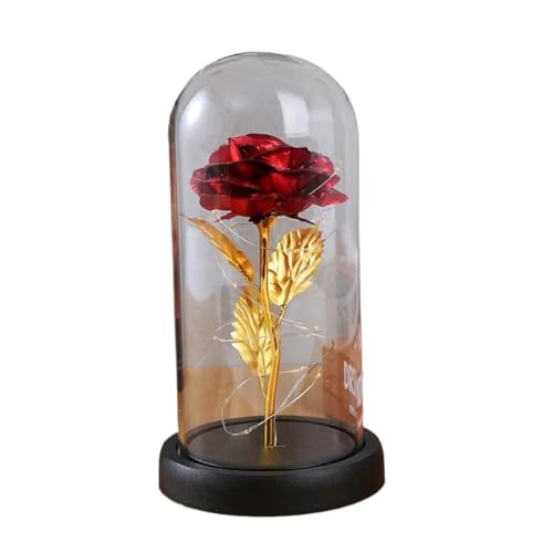 Ymnilian Ewige Rose Im Glas, Ewige Rose Im Glas Mit Gravur Geschenke for Valentinstag/Weihnachten/Muttertag/Geburtstag. Schöne Rosenornamente aus Goldfolie, ewige Blumendekoration mit Glasüberzug(05) Ymnilian Ewige Rose Im Glas, Ewige Rose Im Glas Mit Gravur Geschenke for Valentinstag/Weihnachten/Muttertag/Geburtstag. Schöne Rosenornamente aus Goldfolie, ewige Blumendekoration mit Glasüberzug(05) von Ymnilian