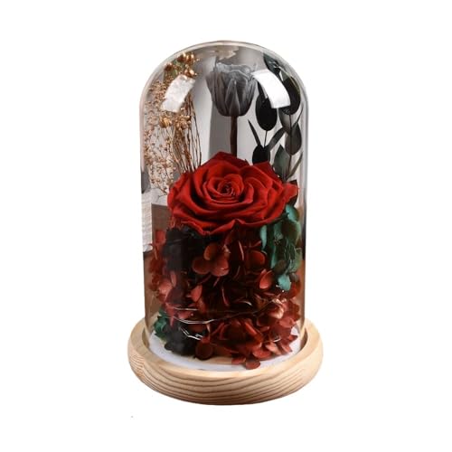 Ymnilian Ewige Rose Im Glas, Ewige Rose Im Glas Mit Gravur Konservierte Rose, Geschenke for Frauen, ewige Blumen, in Glaskuppel mit Lichtern, for Geburtstag, Muttertag, Valentinstag(Red) von Ymnilian