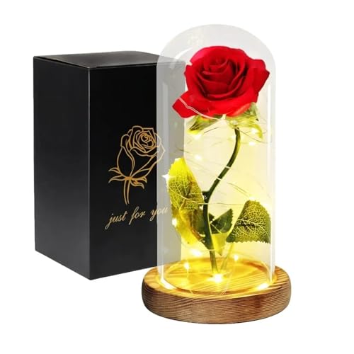 Ymnilian Ewige Rose Im Glas, Ewige Rose Im Glas Mit Gravur Künstliche Blumen Ewige Rose In Glas Abdeckung Valentinstag Hochzeit Geburtstag Dekor for Geschenk(Red) von Ymnilian