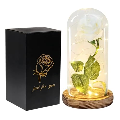 Ymnilian Ewige Rose Im Glas, Ewige Rose Im Glas Mit Gravur Künstliche Blumen Ewige Rose In Glas Abdeckung Valentinstag Hochzeit Geburtstag Dekor for Geschenk(White) von Ymnilian