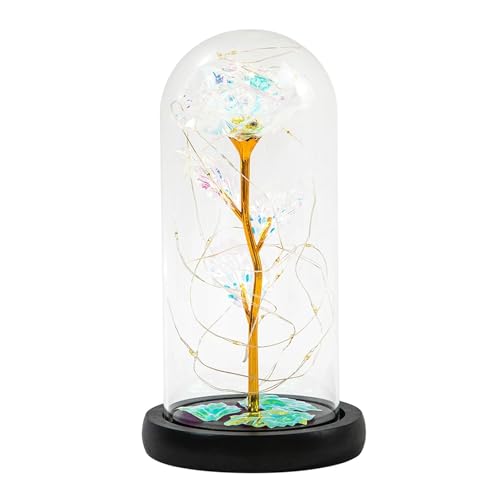 Ymnilian Ewige Rose Im Glas, Ewige Rose Im Glas Mit Gravur Künstliche ewige Rose Licht in Glas Goldfolie Blume verzauberte Lichterkette(White) von Ymnilian