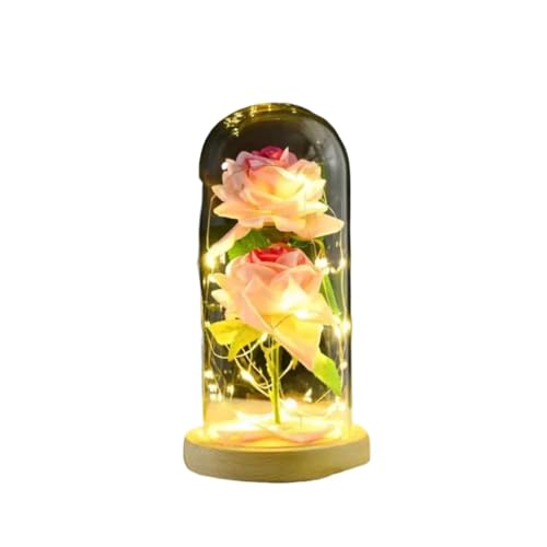 Ymnilian Ewige Rose Im Glas, Ewige Rose Im Glas Mit Gravur Künstliche ewige Rose Licht in Glasabdeckung Home Decor for Valentinstag Weihnachten Mütter Geschenk(Style B) von Ymnilian