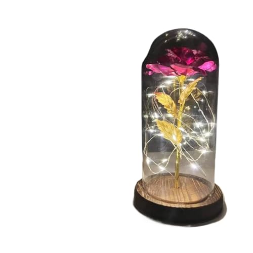 Ymnilian Ewige Rose Im Glas, Ewige Rose Im Glas Mit Gravur Magische Rose, ewige 24 Karat Goldfolie, Blumenkuppel, Lichterkette, Weihnachten, Valentinstag, (006) von Ymnilian