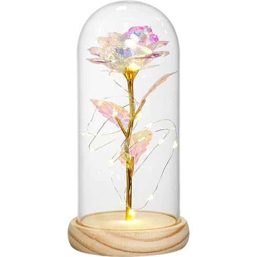Ymnilian Ewige Rose Im Glas, Ewige Rose Im Glas Mit Gravur Rosenblüten Geschenk Batteriebetriebene Ornament Kreative Ewige in Glaskuppel Dekorativ von Ymnilian