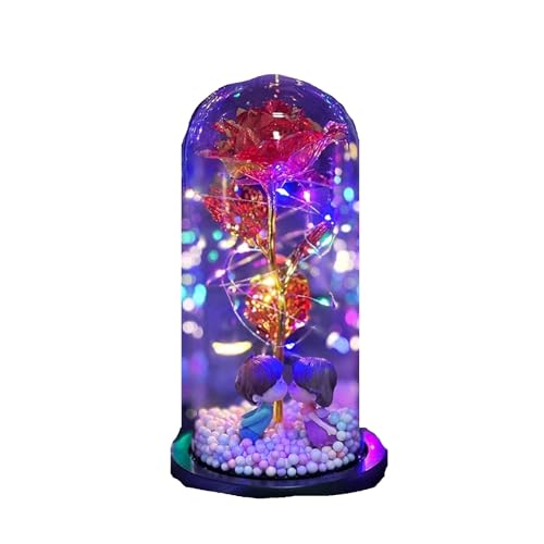 Ymnilian Ewige Rose Im Glas, Ewige Rose Im Glas Mit Gravur Valentinstag Kreative Geschenk-Box Künstliche Blume Rose Glas Abdeckung Geschenk Goldene Ewige Liebe(Red) von Ymnilian