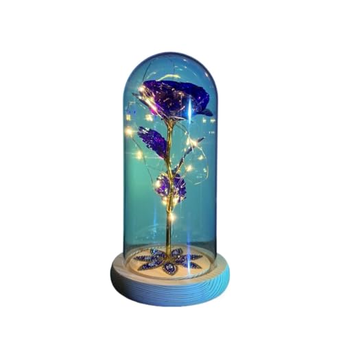Ymnilian Ewige Rose Im Glas, Ewige Rose Im Glas Mit Gravur Verzauberte Rose, ewige Blume aus 24 Karat Goldfolie mit Lichterketten in der Kuppel for Valentinstag(033) von Ymnilian