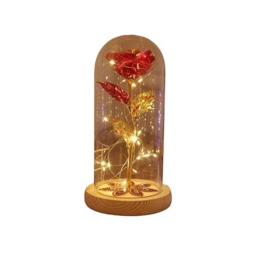 Ymnilian Ewige Rose Im Glas, Ewige Rose Im Glas Mit Gravur Verzauberte Rose, ewige Blume aus 24 Karat Goldfolie mit Lichterketten in der Kuppel for Valentinstag(035) von Ymnilian