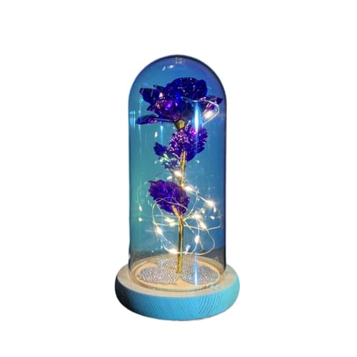 Ymnilian Ewige Rose Im Glas, Ewige Rose Im Glas Mit Gravur Verzauberte Rose, ewige Blume aus 24 Karat Goldfolie mit Lichterketten in der Kuppel for Valentinstag(042) von Ymnilian