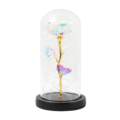 Ymnilian Ewige Rose Im Glas, Ewige Rose Im Glas Mit Gravur Verzauberte Rose, ewige Blume aus 24 Karat Goldfolie mit Lichterketten in der Kuppel for Valentinstag(C01) von Ymnilian