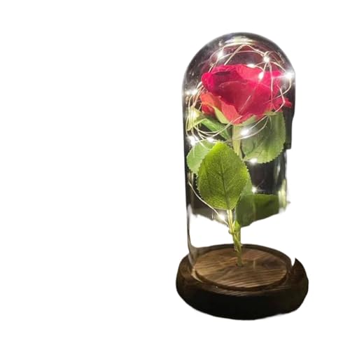 Ymnilian Ewige Rose Im Glas, Ewige Rose Im Glas Mit Gravur Verzauberte Rose, ewige mit Lichterkette in der Kuppel for Valentinstag(1) von Ymnilian
