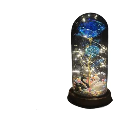 Ymnilian Ewige Rose Im Glas, Ewige Rose Im Glas Mit Gravur Verzauberte Rose, ewige mit Lichterkette in der Kuppel for Valentinstag(13) von Ymnilian