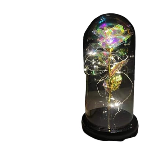 Ymnilian Ewige Rose Im Glas, Ewige Rose Im Glas Mit Gravur Verzauberte Rose, ewige mit Lichterkette in der Kuppel for Valentinstag(26) von Ymnilian