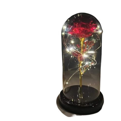 Ymnilian Ewige Rose Im Glas, Ewige Rose Im Glas Mit Gravur Verzauberte Rose, ewige mit Lichterkette in der Kuppel for Valentinstag(28) von Ymnilian