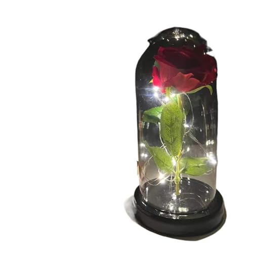 Ymnilian Ewige Rose Im Glas, Ewige Rose Im Glas Mit Gravur Verzauberte Rose, ewige mit Lichterkette in der Kuppel for Valentinstag(29) von Ymnilian