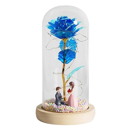 Ymnilian Ewige Rose Im Glas, Ewige Rose Im Glas Mit Gravur Verzauberte Rose, ewige mit Lichterkette in der Kuppel for Valentinstag(B02) von Ymnilian