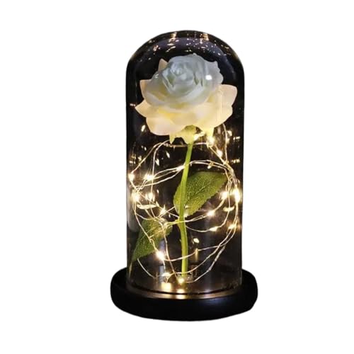 Ymnilian Ewige Rose Im Glas, Ewige Rose Im Glas Mit Gravur Verzauberte Rose, ewige mit Lichterkette in der Kuppel for Valentinstag(Black Base White) von Ymnilian