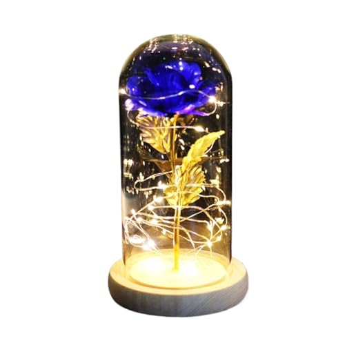 Ymnilian Ewige Rose Im Glas, Ewige Rose Im Glas Mit Gravur Verzauberte Rose, ewige mit Lichterkette in der Kuppel for Valentinstag(Blue) von Ymnilian