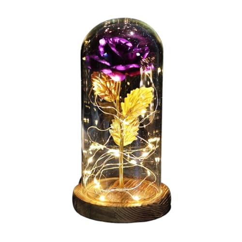Ymnilian Ewige Rose Im Glas, Ewige Rose Im Glas Mit Gravur Verzauberte Rose, ewige mit Lichterkette in der Kuppel for Valentinstag(Brown Base Purple) von Ymnilian
