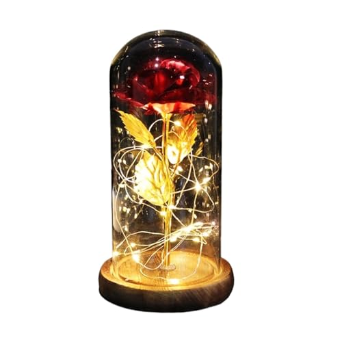 Ymnilian Ewige Rose Im Glas, Ewige Rose Im Glas Mit Gravur Verzauberte Rose, ewige mit Lichterkette in der Kuppel for Valentinstag(Brown Base red) von Ymnilian
