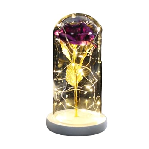 Ymnilian Ewige Rose Im Glas, Ewige Rose Im Glas Mit Gravur Verzauberte Rose, ewige mit Lichterkette in der Kuppel for Valentinstag(White Base Purple) von Ymnilian