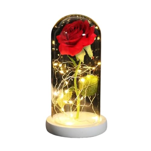 Ymnilian Ewige Rose Im Glas, Ewige Rose Im Glas Mit Gravur Verzauberte Rose, ewige mit Lichterkette in der Kuppel for Valentinstag(White Base red 2) von Ymnilian